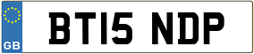 Truck License Plate